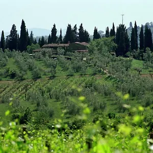 Séjour à la campagne Fattoria Casa Sola, Barberino di Val dʼElsa